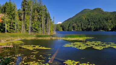 Lake near Egmont,Sunshine Coast,British Columbia