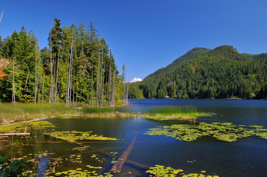 Lake near Egmont,Sunshine Coast,British Columbia