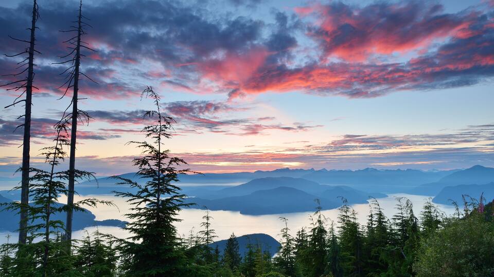 A mountainous landscape with a lake and tall trees.