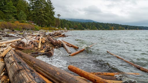 Roberts Creek