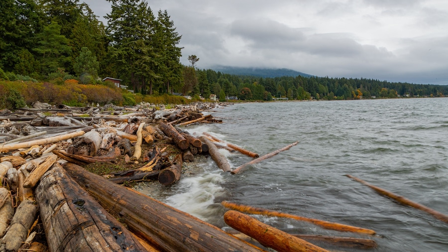 Roberts Creek which includes a lake or waterhole
