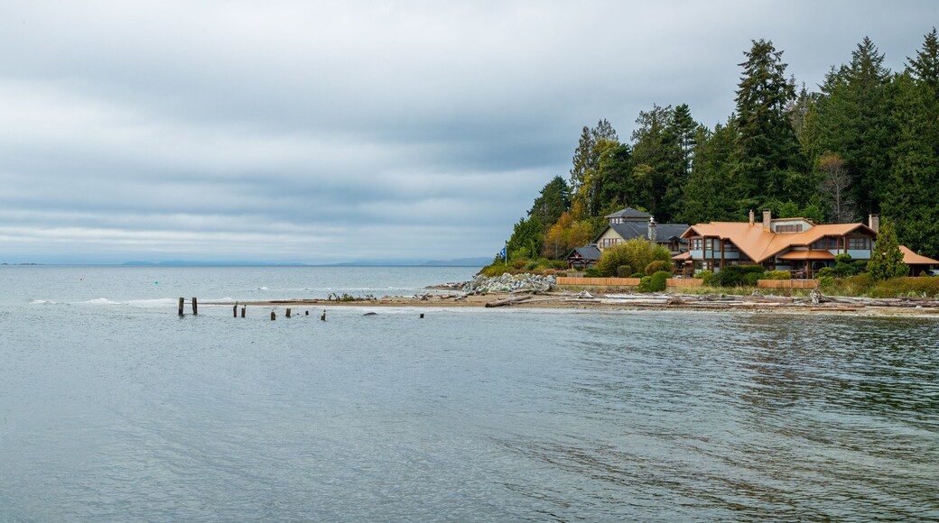 Roberts Creek showing general coastal views and a coastal town
