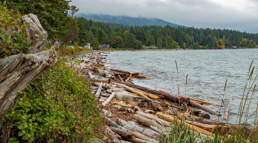 Roberts Creek showing a lake or waterhole
