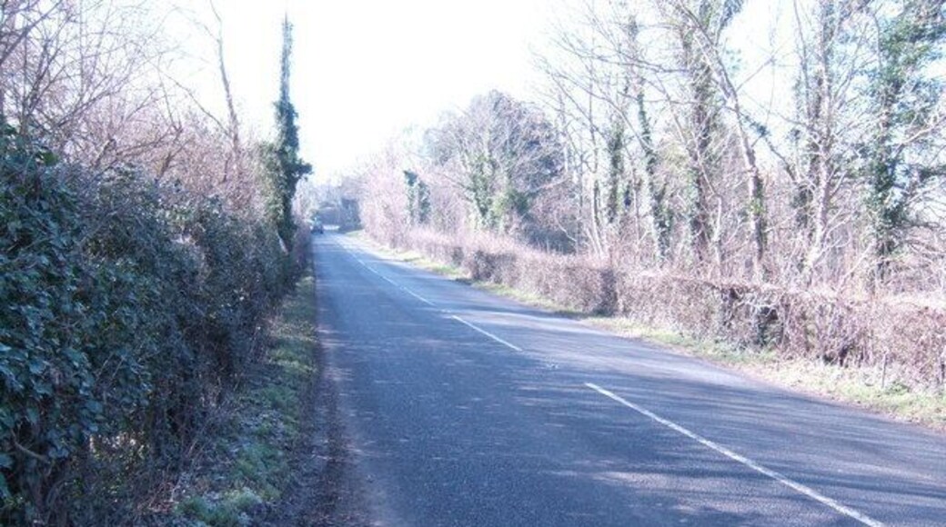 A265 west towards Burwash About 100 yards of this road passes through the gridsquare.