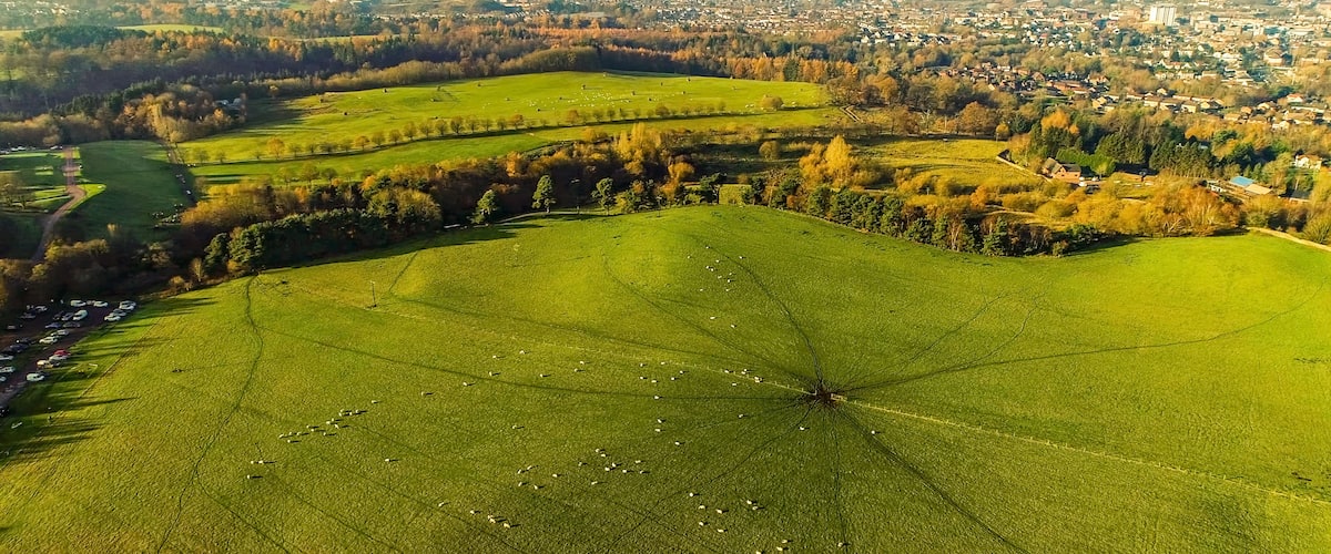 Aerial image over a green field with grazing sheep to the townscape of Coatbridge.