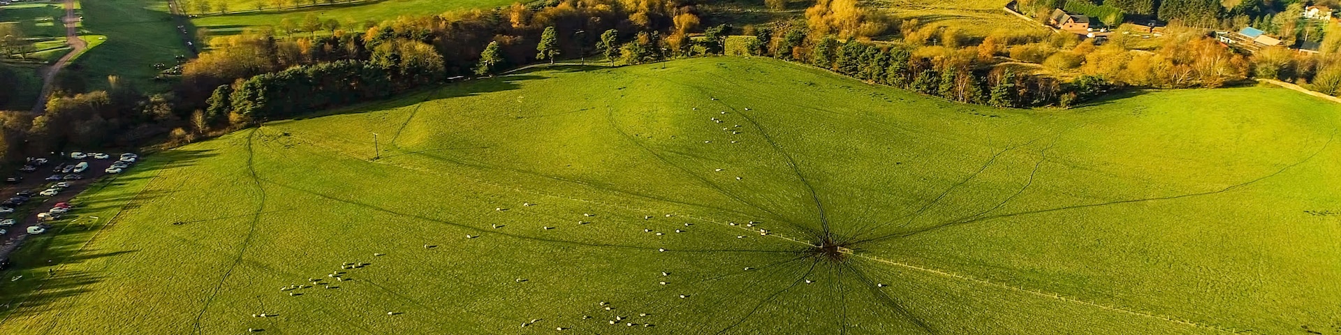 Aerial image over a green field with grazing sheep to the townscape of Coatbridge.