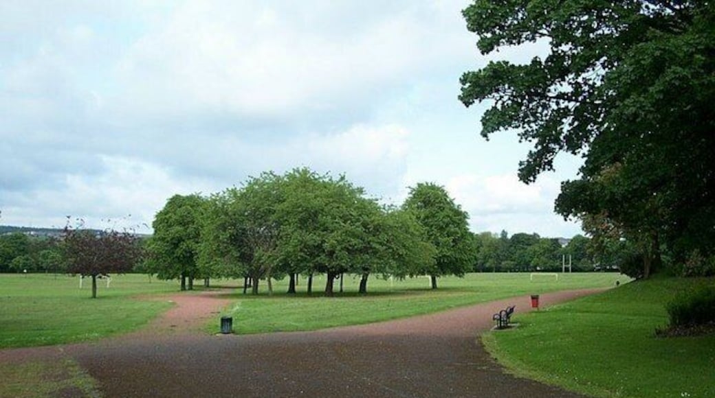 Dunbeth Park, Coatbridge Large area of parkland with football and rugby pitches.