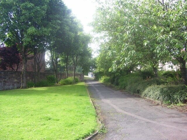 Uma estreita estrada rural ladeada por grama verde exuberante e árvores.