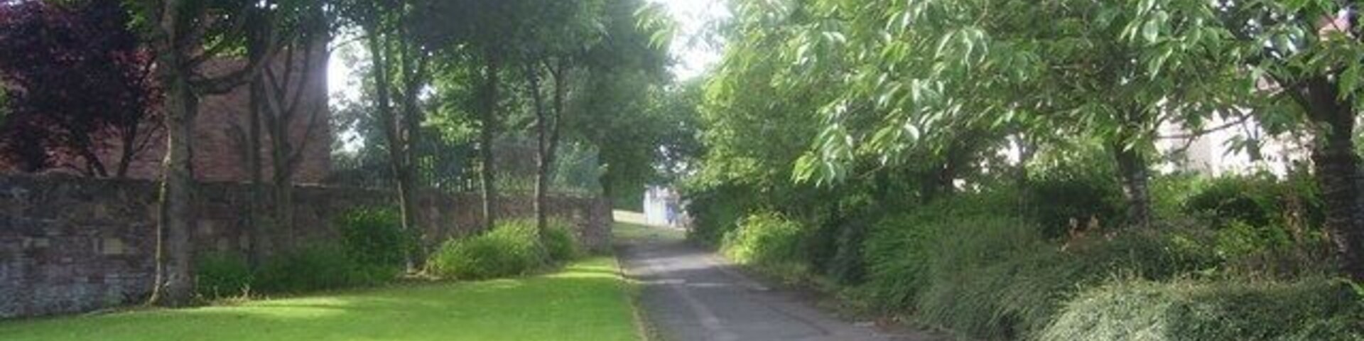 Uma estreita estrada rural ladeada por grama verde exuberante e árvores.