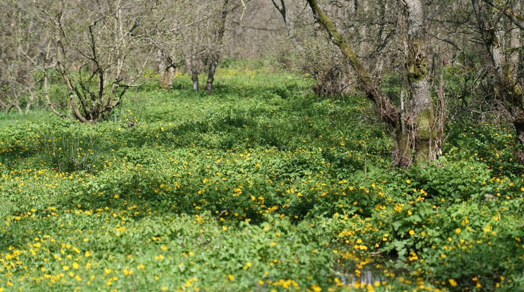 Crichton, Midlothian.