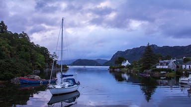 A calm harbor with boats, a sailboat, and houses by the water.