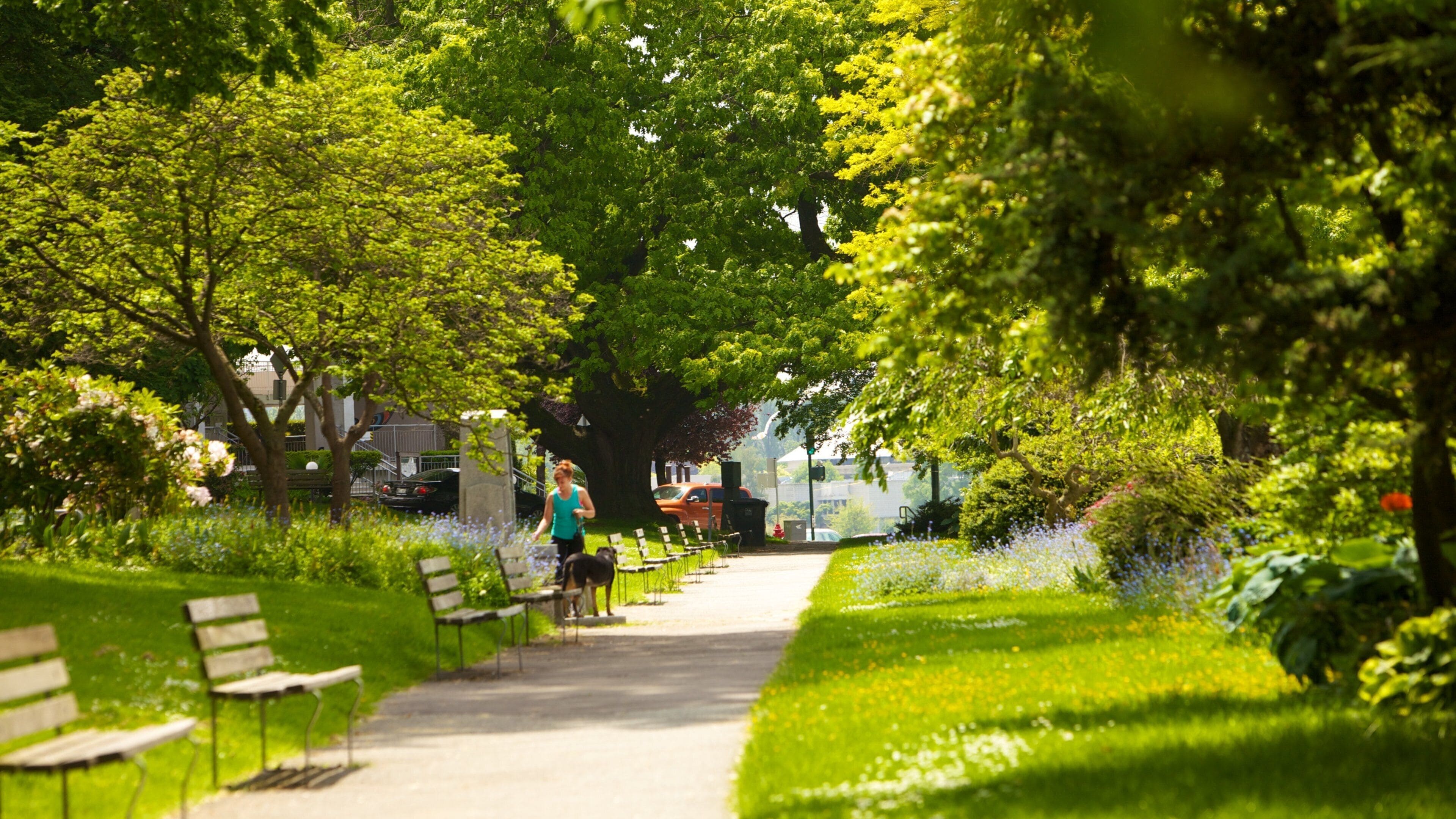 English Bay Inukshuk inclusief een park en landschappen