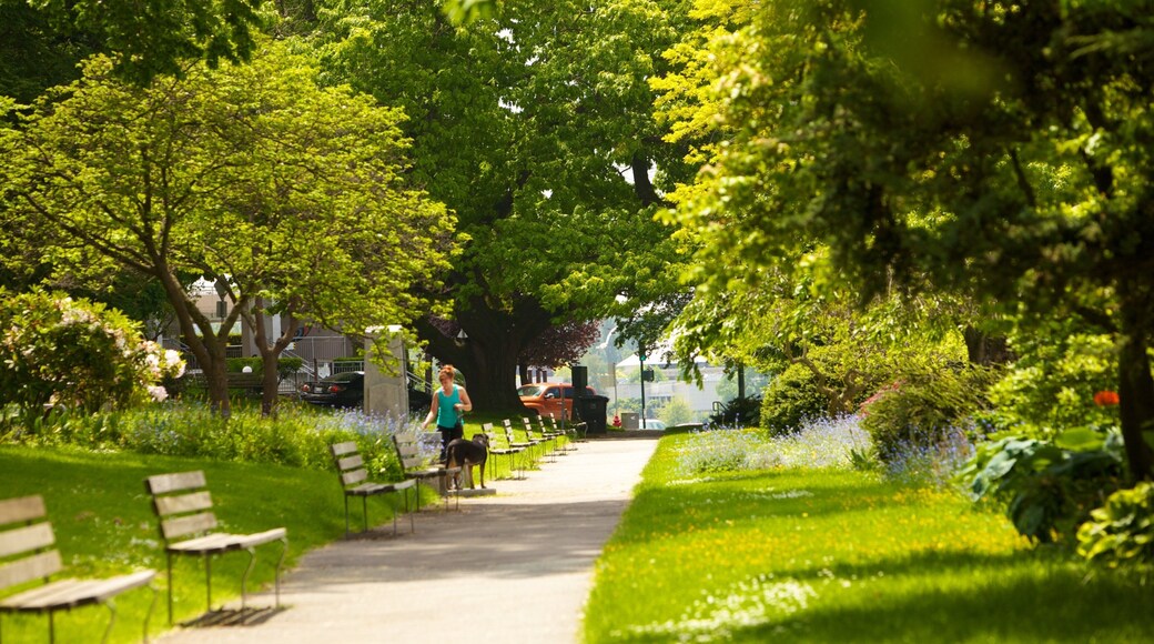 English Bay Inukshuk inclusief een park en landschappen