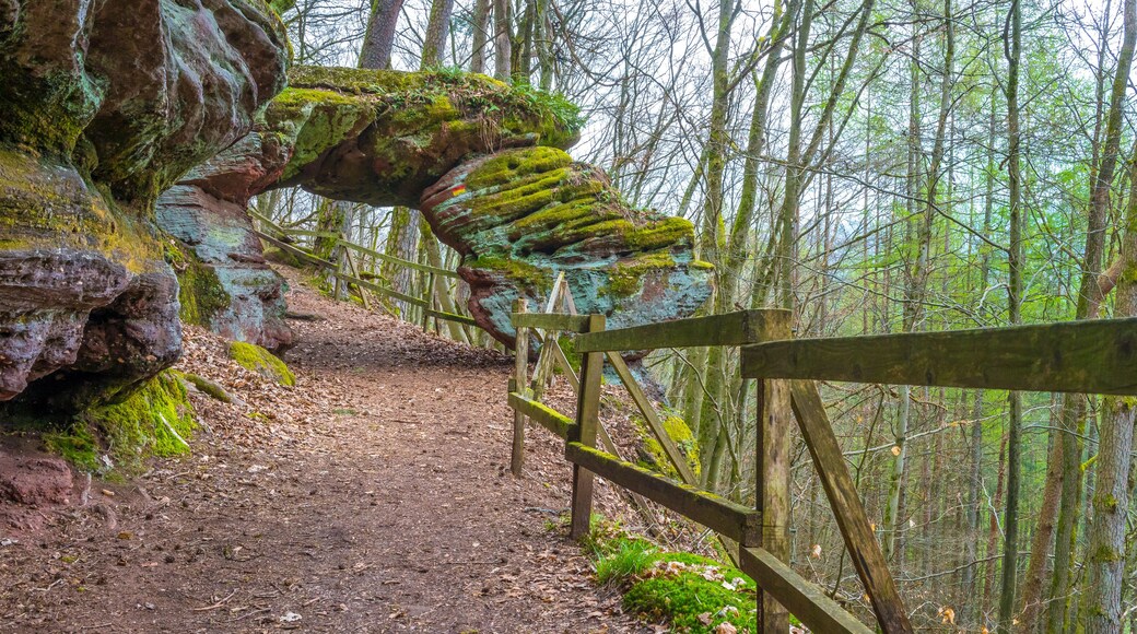 Felsentor, Pirmasens, Rheinland-Pfalz, Deutschland
