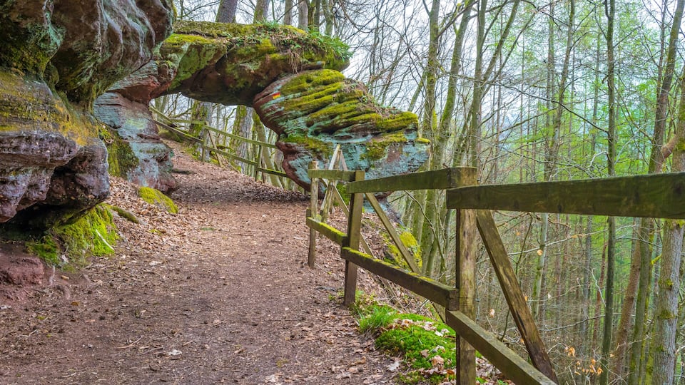 A forest path with a wooden fence and a large moss-covered rock formation.