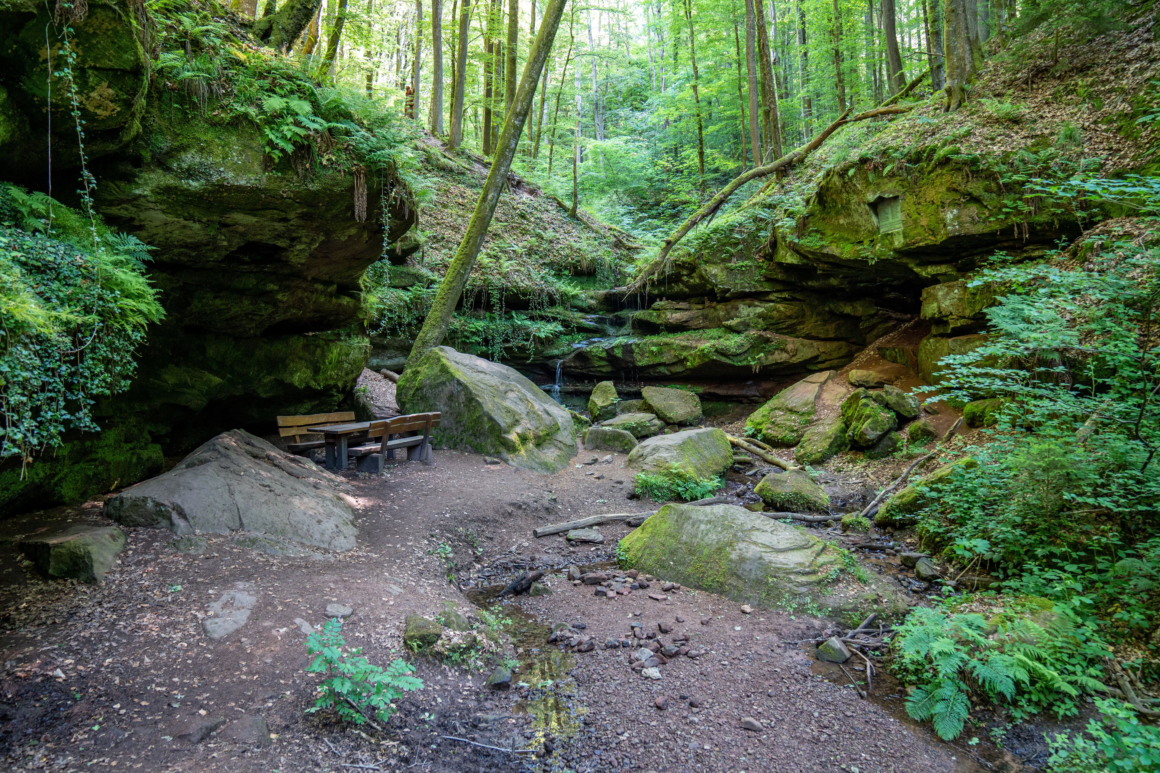Hexenklamm nahe Pirmasens in Rheinland-Pfalz
