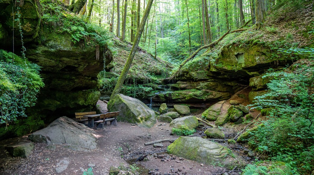 Hexenklamm nahe Pirmasens in Rheinland-Pfalz