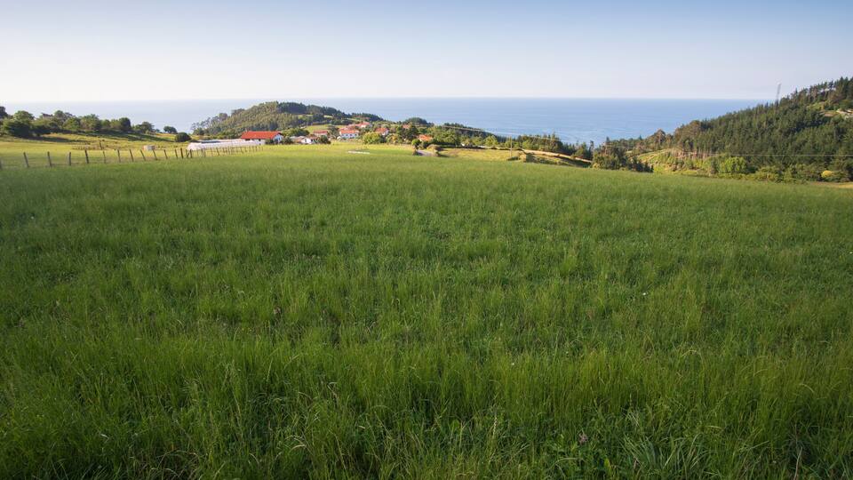 A green field with a red-roofed building and a view of the sea in the distance.