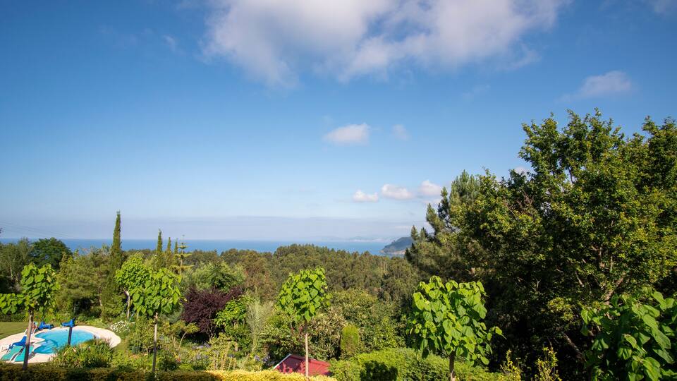 A lush garden with a swimming pool, dense trees, and a view of the ocean.