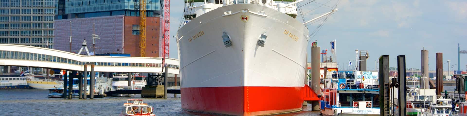 Cap San Diego showing a marina, a bay or harbor and a city