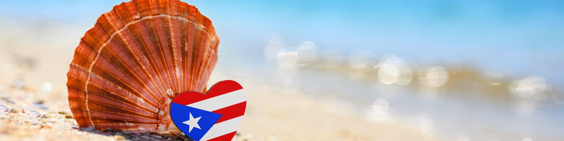 Una concha marina sobre una playa arenosa, con un océano desenfocado al fondo.
