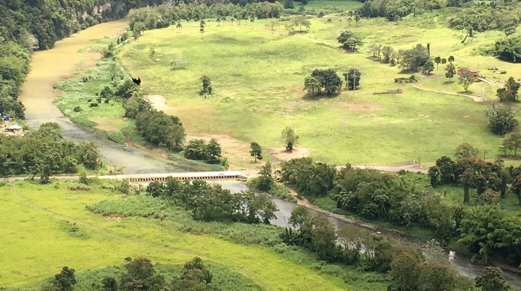The view from window cave in Arecibo,P.R.