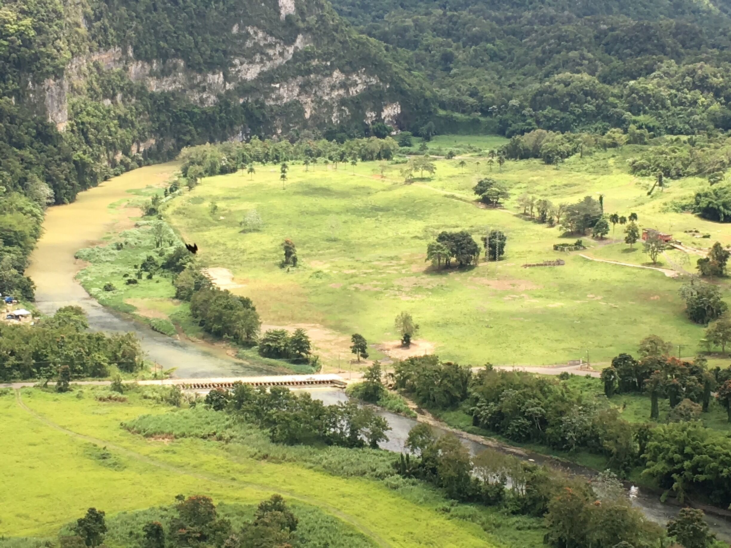 A river winding through a lush valley with scattered trees and a bridge.