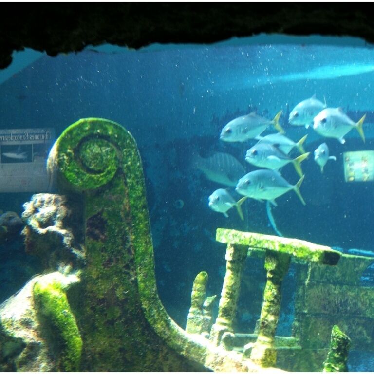 An underwater scene with a large green spiral structure, a stone bench, and several fish swimming around.