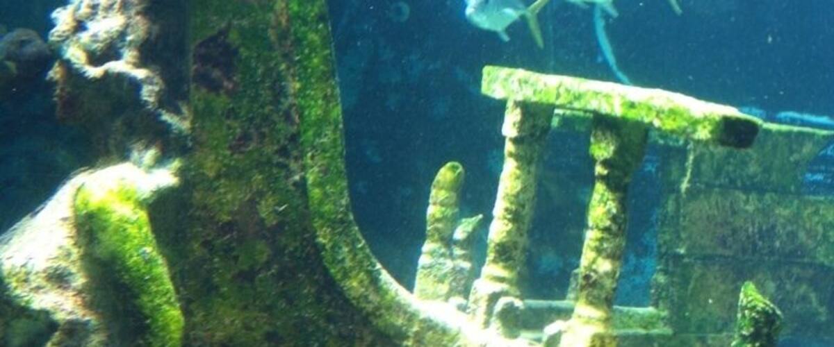 An underwater scene with a large green spiral structure, a stone bench, and several fish swimming around.