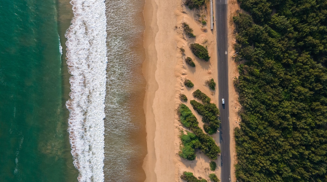 Vue aĂ©rienne dâune plage avec des vagues, une route et une forĂȘt dense.