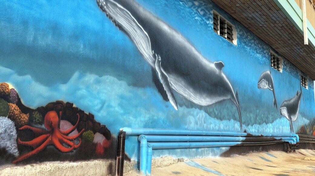 Welcome to Vava’u, Tonga, famous for Swim with humpback whales