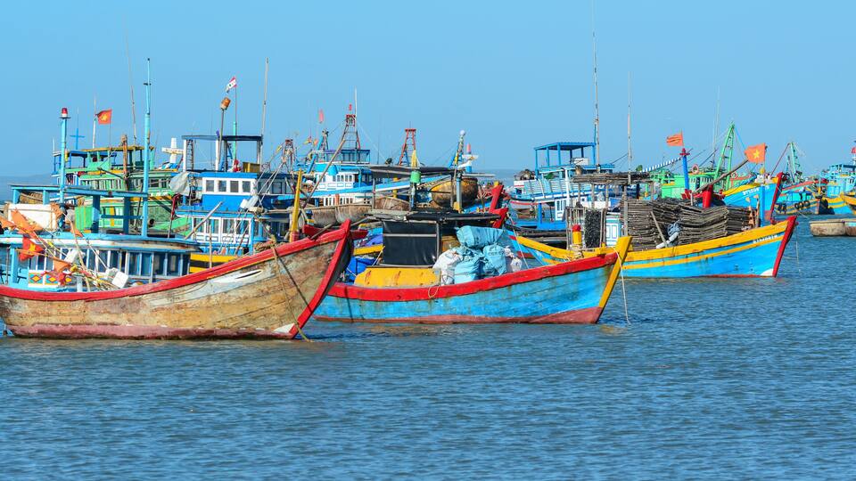 A harbor filled with colorful fishing boats.