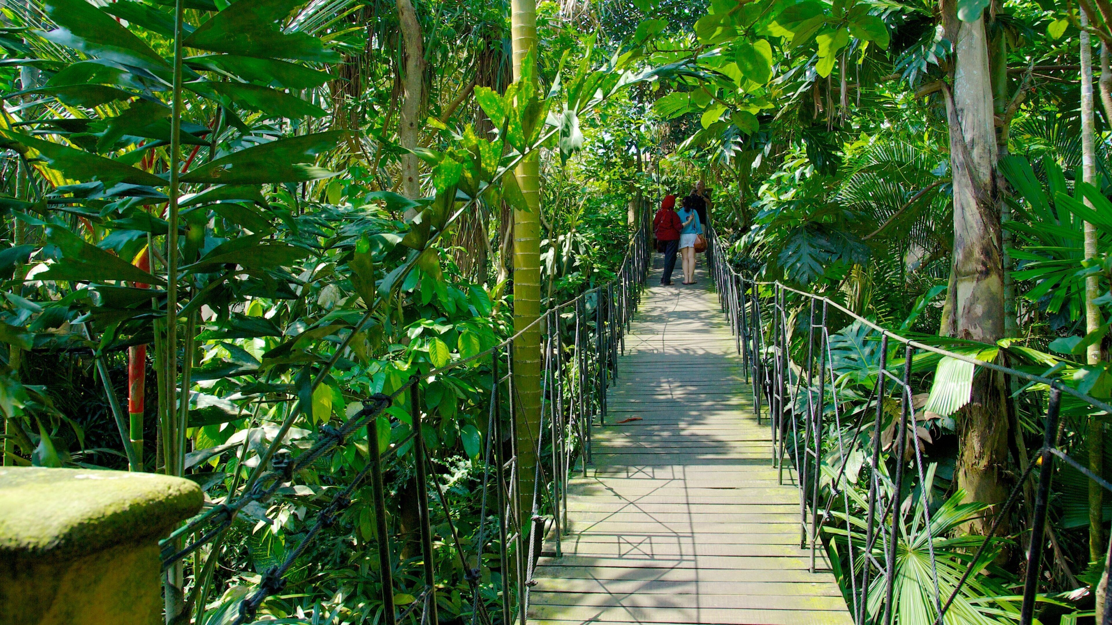 Bali Bird Park showing a park and a bridge
