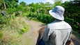 A person walking on a dirt path surrounded by lush greenery and trees.