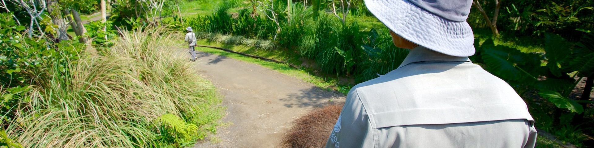 Bali Zoo which includes zoo animals as well as an individual male