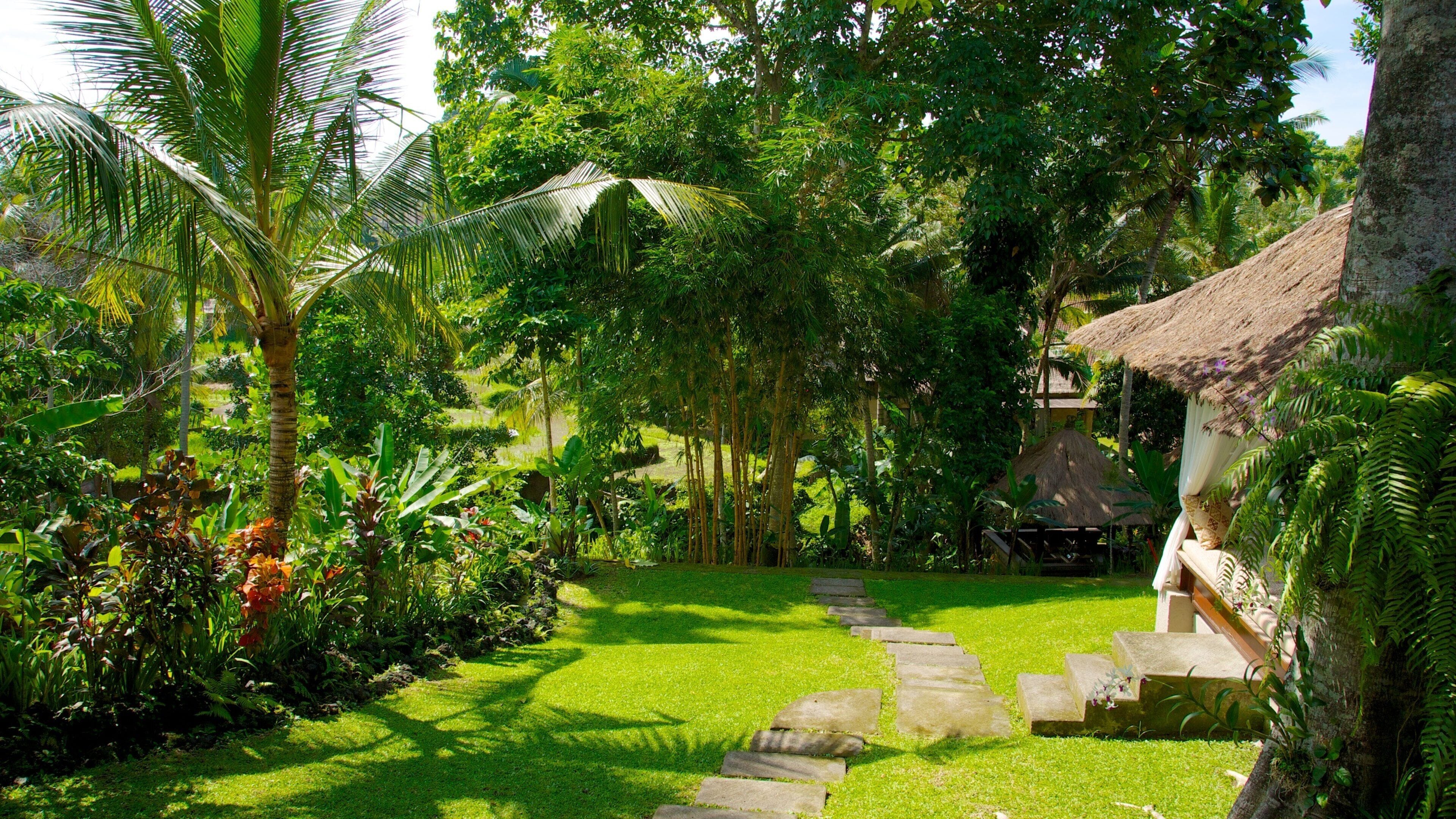 A lush garden with a stone pathway, palm trees, and a thatched-roof structure.