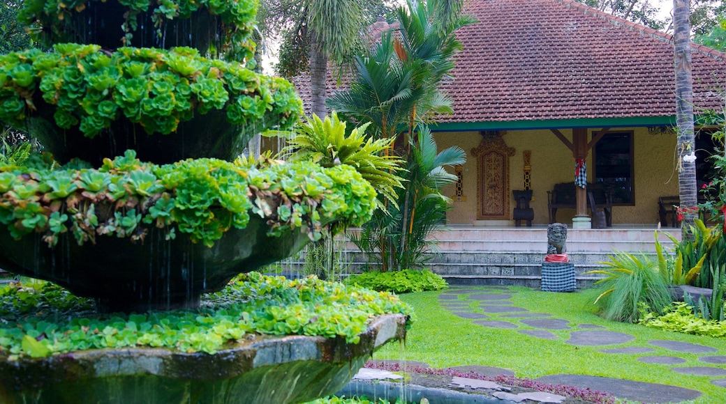 Don Antonio Blanco Museum which includes a fountain and a park