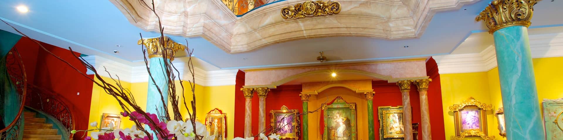 ブランコ博物館 表示 アート と 屋内の眺め