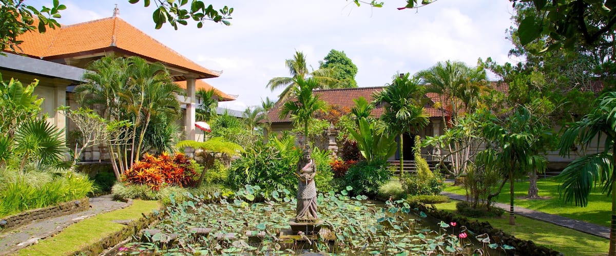 Museum Puri Lukisan featuring a pond, a park and tropical scenes