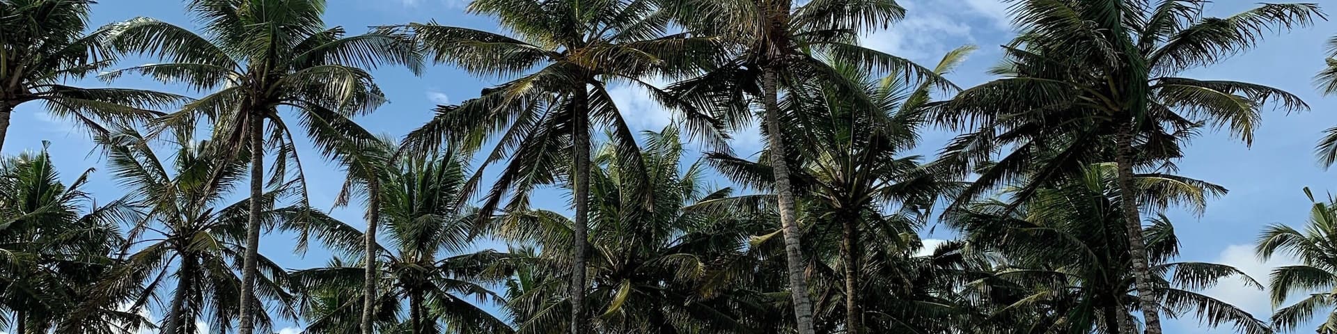 Yes, some parts of Bali are overrun with tourists and rubbish. However, we’ve been here for a couple of weeks now and we’ve seen many beach clean ups being organized, plus single-use plastic is restricted, so yay to this Bali!
Whenever I hear people complaining because Bali is too touristy, I would like to remind them that it’s a pretty big island, and visiting ‘Western hotspots’ is not compulsory! You can always find places with not many other people around, and in some cases you don’t even need to travel far. This is Seseh Beach, less than 15 minutes away from Canggu by scooter!
#TroverRT