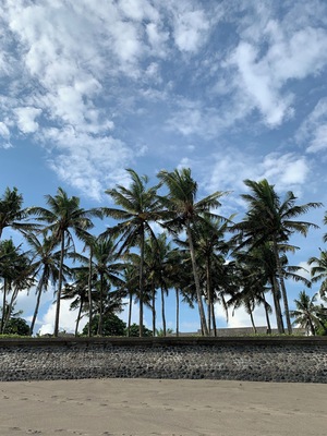 Yes, some parts of Bali are overrun with tourists and rubbish. However, we’ve been here for a couple of weeks now and we’ve seen many beach clean ups being organized, plus single-use plastic is restricted, so yay to this Bali!
Whenever I hear people complaining because Bali is too touristy, I would like to remind them that it’s a pretty big island, and visiting ‘Western hotspots’ is not compulsory! You can always find places with not many other people around, and in some cases you don’t even need to travel far. This is Seseh Beach, less than 15 minutes away from Canggu by scooter!
#TroverRT