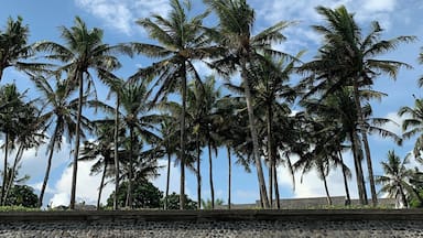 Yes, some parts of Bali are overrun with tourists and rubbish. However, we’ve been here for a couple of weeks now and we’ve seen many beach clean ups being organized, plus single-use plastic is restricted, so yay to this Bali!
Whenever I hear people complaining because Bali is too touristy, I would like to remind them that it’s a pretty big island, and visiting ‘Western hotspots’ is not compulsory! You can always find places with not many other people around, and in some cases you don’t even need to travel far. This is Seseh Beach, less than 15 minutes away from Canggu by scooter!
#TroverRT