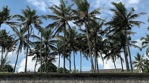 Yes, some parts of Bali are overrun with tourists and rubbish. However, we’ve been here for a couple of weeks now and we’ve seen many beach clean ups being organized, plus single-use plastic is restricted, so yay to this Bali!
Whenever I hear people complaining because Bali is too touristy, I would like to remind them that it’s a pretty big island, and visiting ‘Western hotspots’ is not compulsory! You can always find places with not many other people around, and in some cases you don’t even need to travel far. This is Seseh Beach, less than 15 minutes away from Canggu by scooter!
#TroverRT