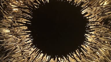 If you are looking for aerial yoga, yoga, sound healing or another way to relax and connect with your spiritual side, check out Udara. The building is gorgeous and they have events going on all the time. They have a day of free events on Sunday!
#TroverRT