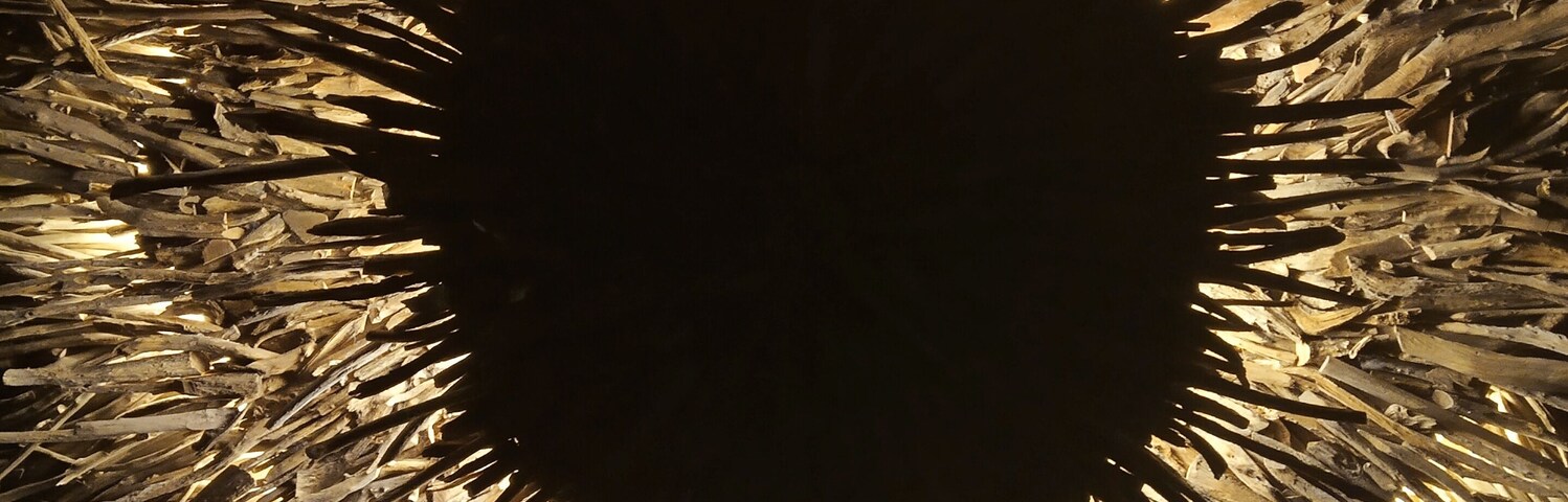 If you are looking for aerial yoga, yoga, sound healing or another way to relax and connect with your spiritual side, check out Udara. The building is gorgeous and they have events going on all the time. They have a day of free events on Sunday!
#TroverRT