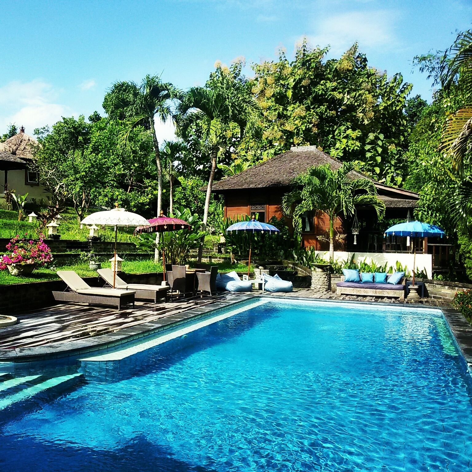 Great way to wake up in Bali!
#bali #canggu #blue
