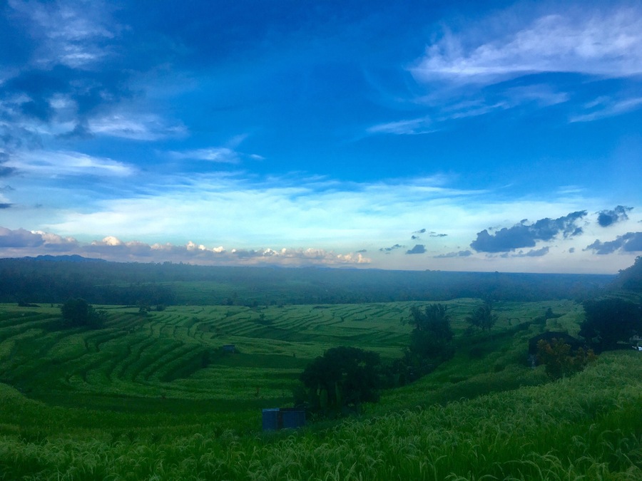 Jatiluwih Rice Terraces