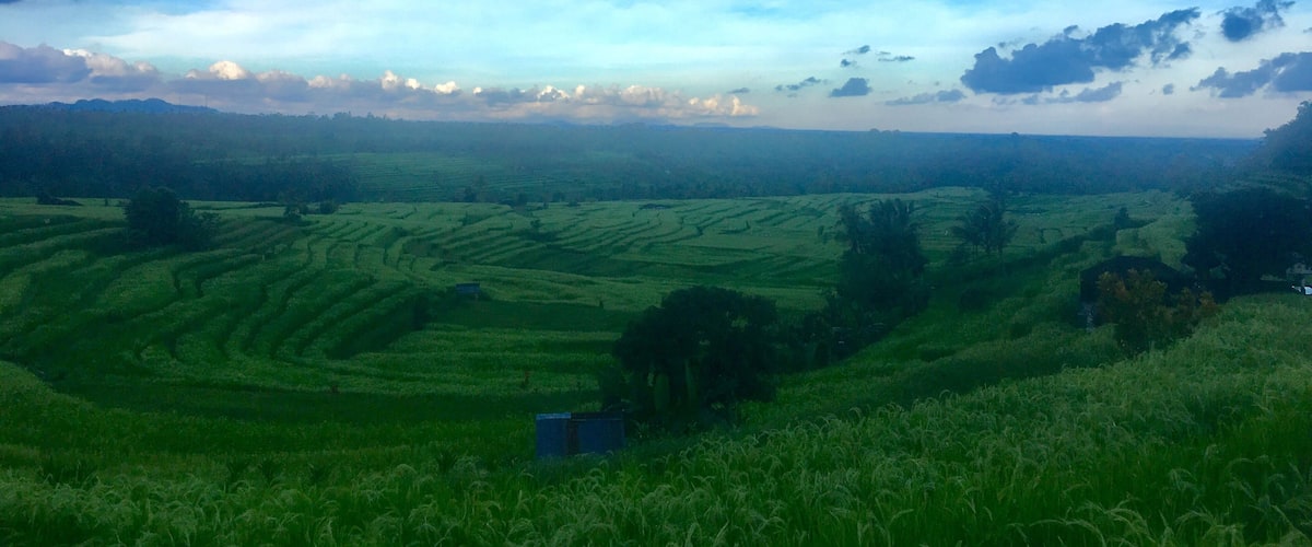 A lush green landscape with terraced fields under a blue sky with scattered clouds.