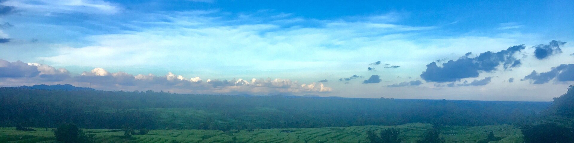 A lush green landscape with terraced fields under a blue sky with scattered clouds.