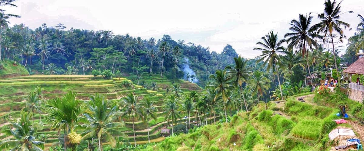 My best trip ever was to Bali....you can find beautiful mountains, volcanoes and beaches all at one island...and it is not very expensive either :) Weather is beautiful too. We started our stay from Kuta beach and moved up to Ubud. We took a cab from Ubud to Jatiluwih rice terraces and strolled around. It is beautiful ❤️ #Green #Bali #riceTerrace #Indonesia #coconutTrees